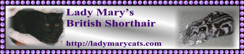 ladymarysbanner.jpg