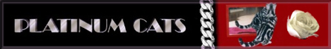 Platinum Cats